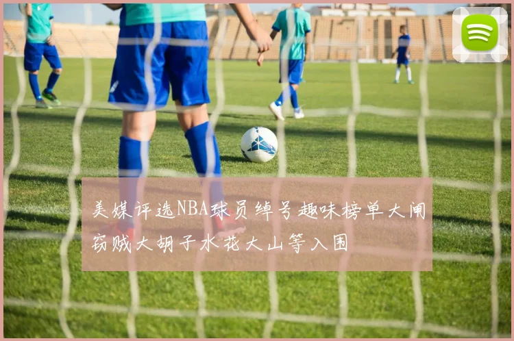 美媒评选NBA球员绰号趣味榜单大闸窃贼大胡子水花大山等入围
