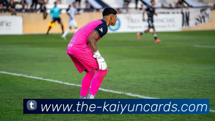 开云棋牌官网平台生态图